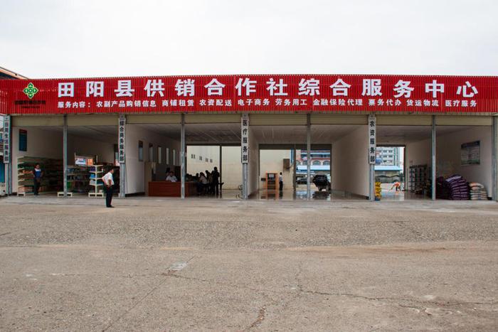 田阳区供销社 多举措做好县域流通服务体系建设 票务代理新突破